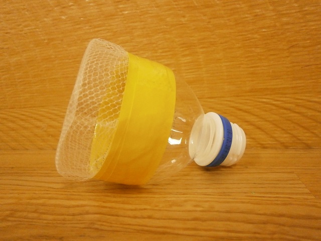あわあわボトルの写真