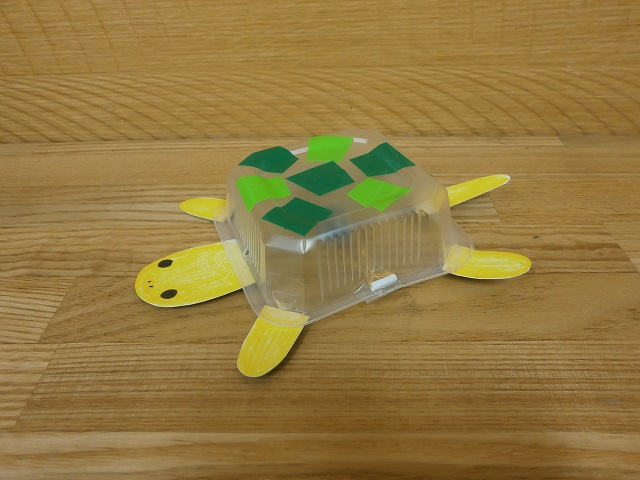 カメさん写真